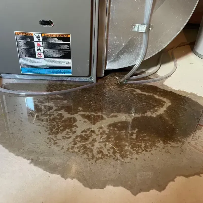 Appliance Leak Cleanup in Carol Stream, IL